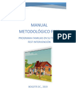 Manual Metodológico FEST VII - Octubre 2019 PDF