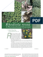 Rhodiola rosea A Phytomedicinal Overview