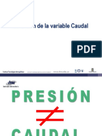Caudal Clase PDF