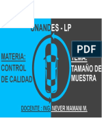 Tamaño de Muestra PDF