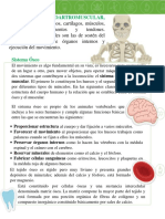 Sistemas Flexibles PDF