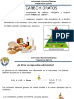 2.2.3 Carbohidratos PDF