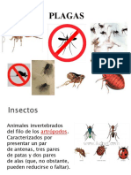 Clases Insectos Plagas 1 Parte