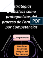 Proceso de Formación