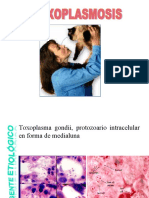 Clases Zoonosis Parasitarias 2 Parte Protozoos