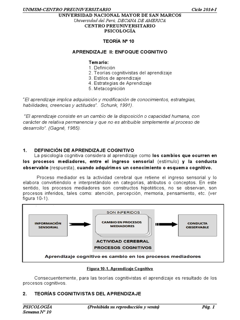 Aprendizaje Cognitivo: Teorías y Estrategias | PDF | Teoria de la mente ...