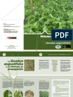 PD 428-06 R.2 (F) Propagación G Angustifolia PDF