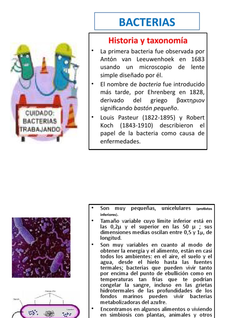 Historia y Rol de las Bacterias | PDF | Las bacterias | Bacteriófago
