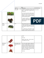 Glosario de Chiles y Flores