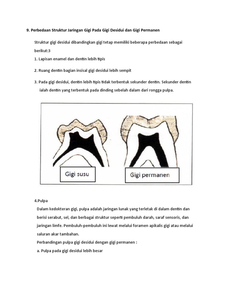 No 9 Struktur Jaringan Gigi | PDF