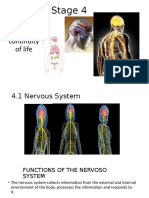 Anatomia E4 2019 trad