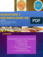 Eva - Digestion-Y-Metabolismo-De-Lipidos Último