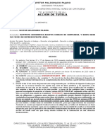 Accion de Tutela SR Rodolfo PDF