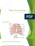 Presentasi Sistem Ekskresi Pada Manusia