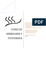 Manual Completo Herbolaria