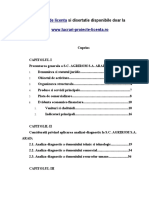 138 Analiza diagnostic. Prezentarea recomandarilor de imbunatatire a activitatii- www.lucrari-proiecte-licenta.ro.doc
