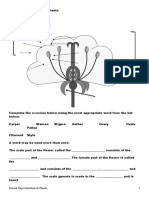 Sexual Reproduction in Flowering Plants Worksheet