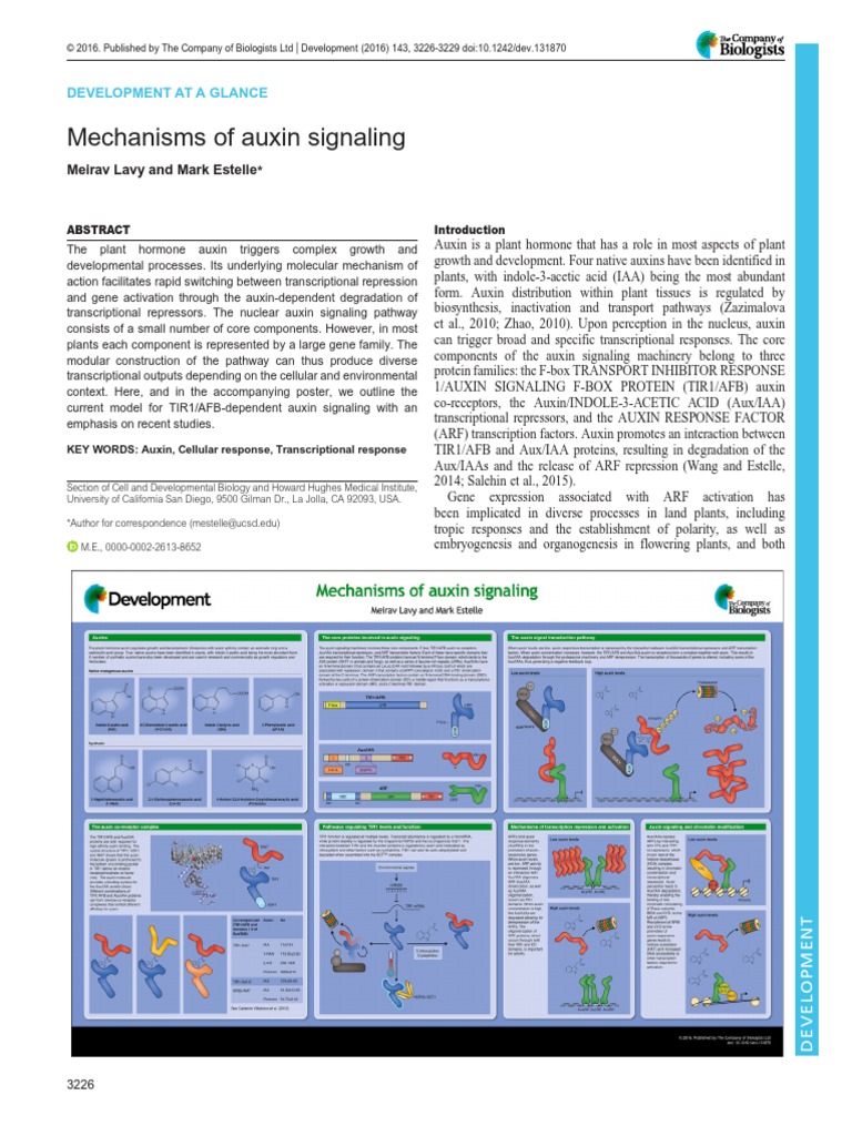 Lavy and Estelle 2016 Mechanisms of Auxin Signaling | PDF | Auxin ...