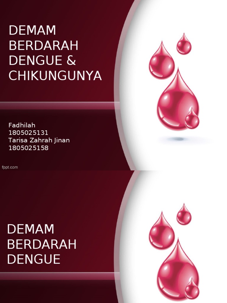 Yalangoch Taisiya Shanti VK-da