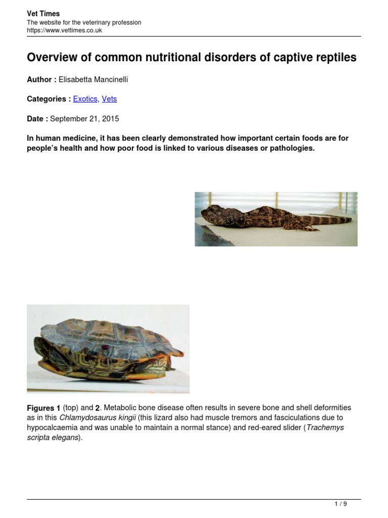 Overview of Common Nutritional Disorders of Captive Reptiles PDF PDF
