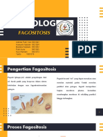 FAGOSITOSIS.pptx