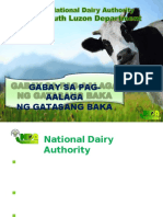 Gabay Sa Pag-Aalaga NG Gatasang Baka-Cuenca&SJ