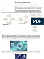 Clasificación de microorganismos.pptx