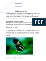 Mariposa, HTTPS://WWW - Bioenciclopedia.com/mariposa