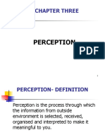 Chapter Three: Perception