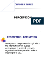 Understanding Perception and its Influences