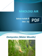 Mikologi Air