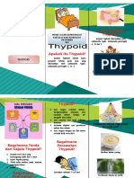 Leaflet Thypoid