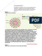 Qui sont les coronavirus.docx