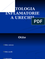 Curs 07 Patologia Acuta Si Cronica A Ureche