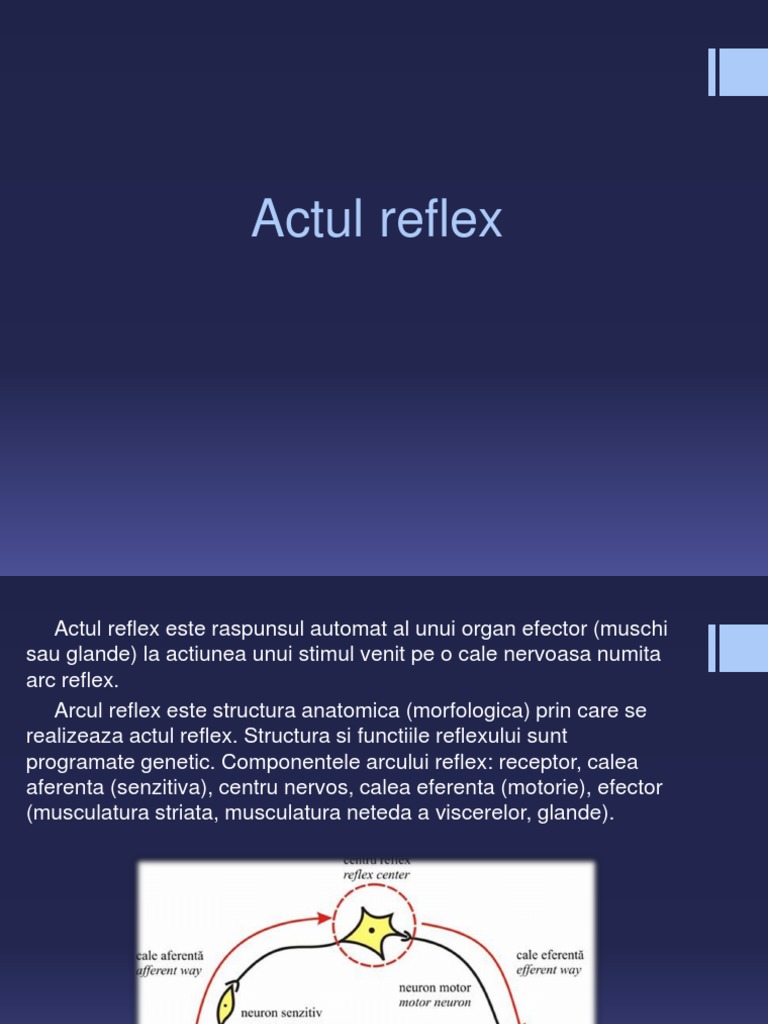 Actul Reflex | PDF