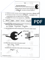 Enzyme Review Sheet Answers