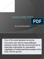 Kinesiology Ankle and Foot WUL