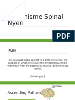 Mekanisme Spinal Nyeri SAR