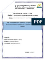 version memoire 1.1.pdf