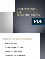 Interpreting Agarose Gels