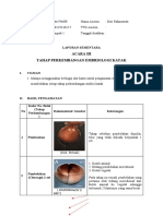 Laporan Praktikum Perkembangan Embriologi Katak I (Cleavage-Morula)