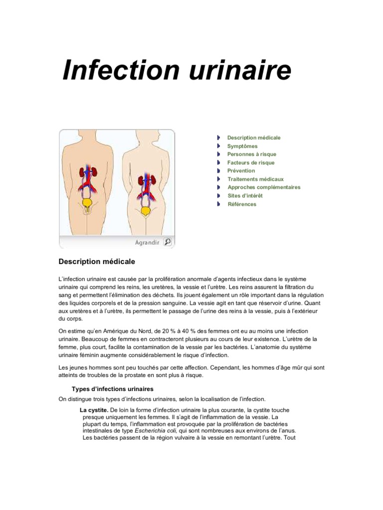 Infection Urinaire Infection urinaire Urine