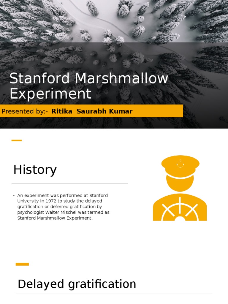 Stanford Marshmallow Experiment PDF Delayed Gratification Applied