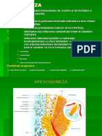 curs6-apexogeneza si apexificare.pdf