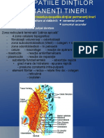 curs5-pulpopatiile-DPT.pdf
