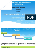 Mediadores de la inflamación.pdf