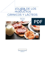 tECNOLIGIA DE LOS PRODUCTOS CÁRNICOS Y LÁCTEOS