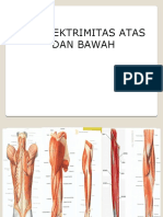 Anatomi 1 Otot AGA & AGB