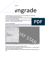 Downgrade by DEEJAY STAR PDF