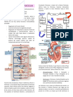 Clase 8-9 Cardiovascular PARTE I PDF
